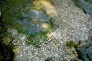 Multiverse of Pebble Paths