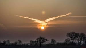 1891203_623550937731808_861501559_n