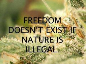 nature illegal