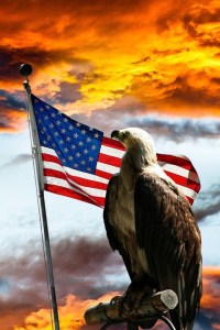 USA Eagle