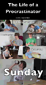 life of a procrastinator