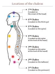 7 Major Chakras